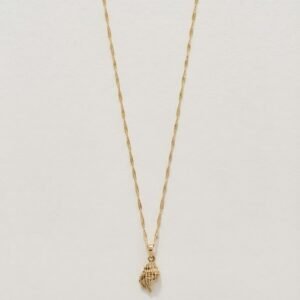 Coquille Necklace