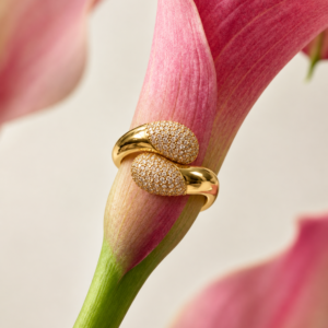 Twin ring